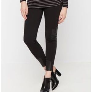 Rachel Zoe maternity leggings with leather trim